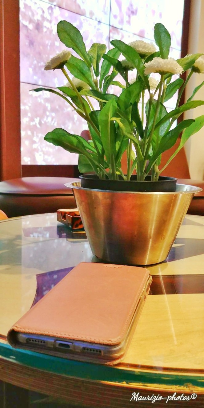 IMG-20170829-WA0003-01