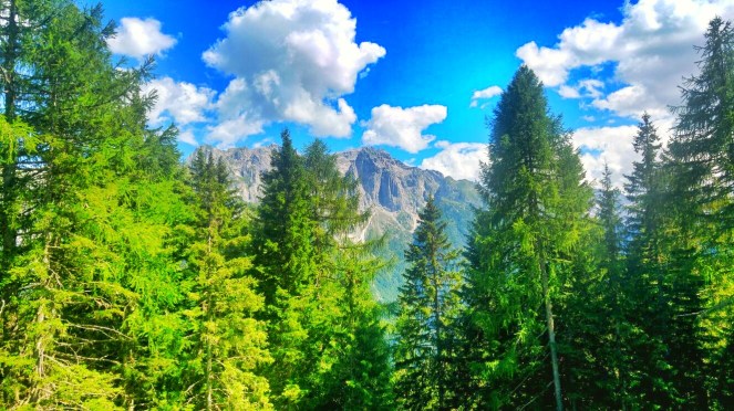 IMG-20170715-WA0028-01