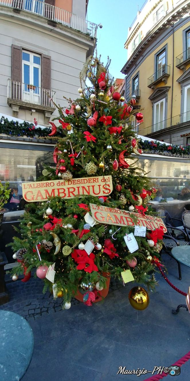 caffe gambrinus